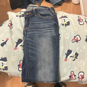 Hollister jeans